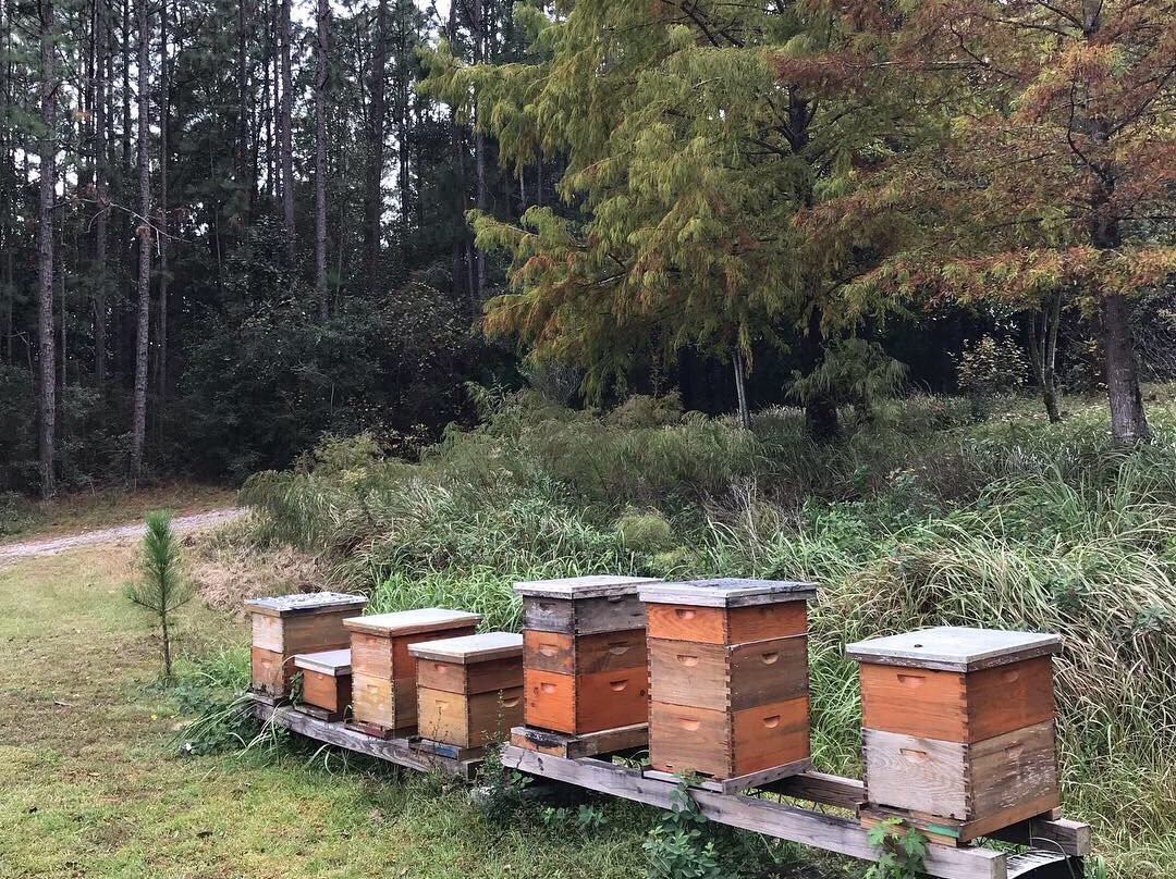 Environmental Studies Center-莫比尔必去景点