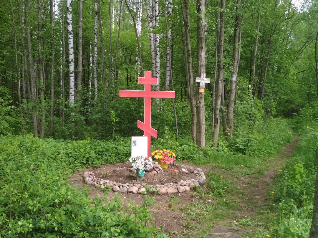 Rzhev Polygon景点图片