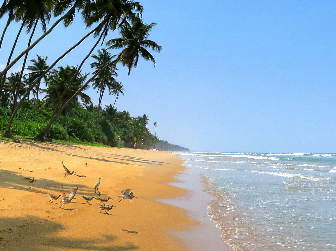 礁别墅及水疗中心酒店主图