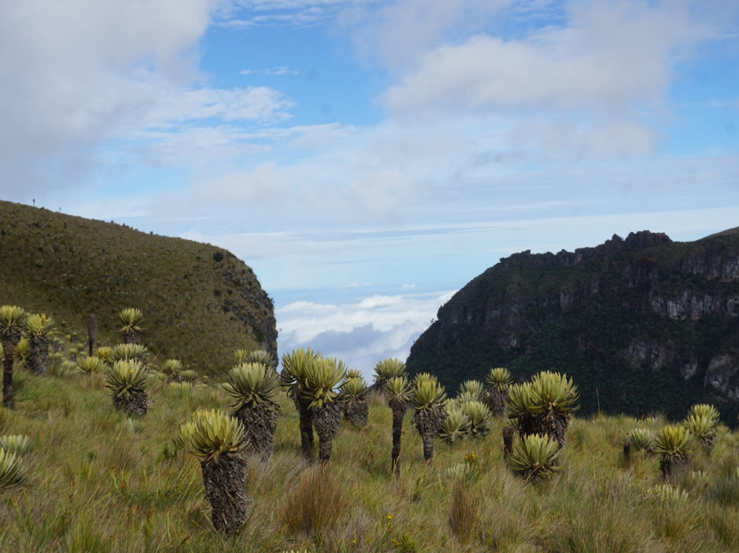 Dulima Tour Travel-萨伦托必去景点