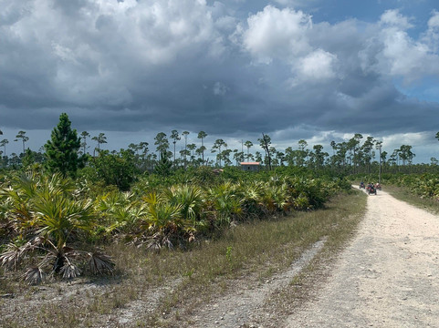 S&D Coach Tours-弗里波特必去景点