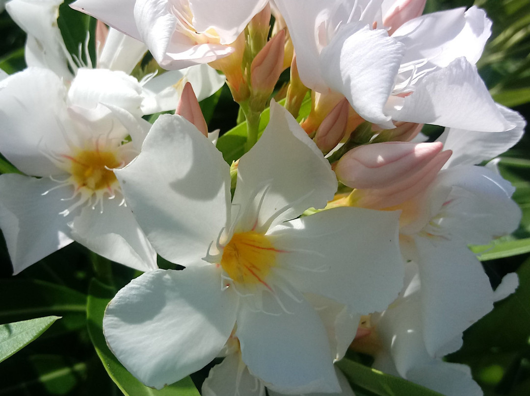 American Bank Center Convention Center-科珀斯克里斯蒂市必去景点