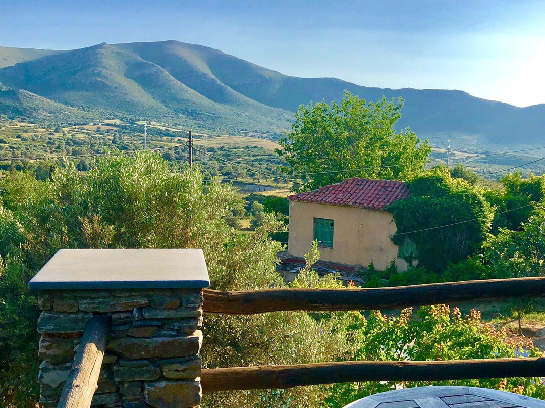 Traditional Mansion with pool & spa - The House of Prince主图