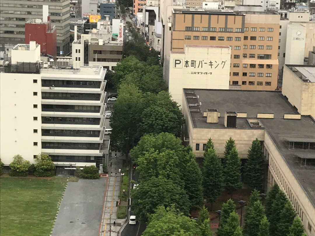 Tochigi Prefectural Office景点图片