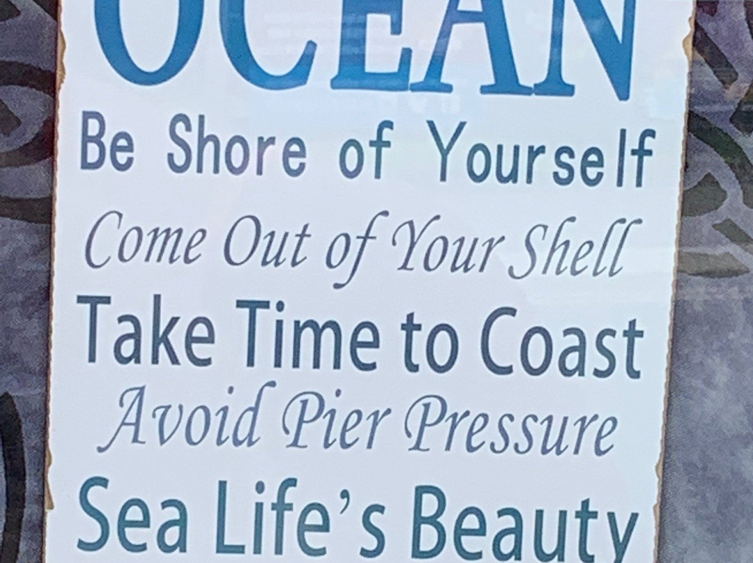 The Beach Retreat主图