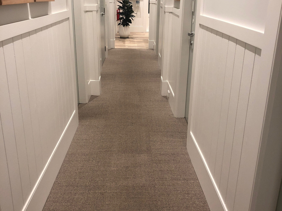 The Baxley Bondi主图