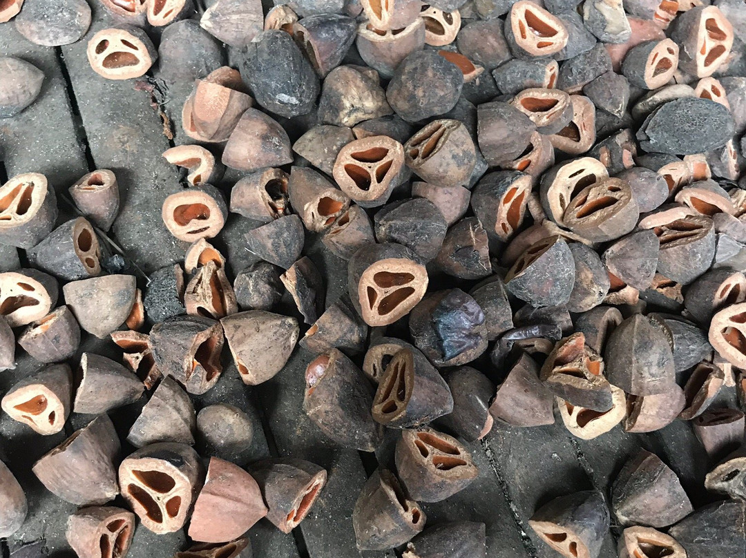 The City Hotel主图