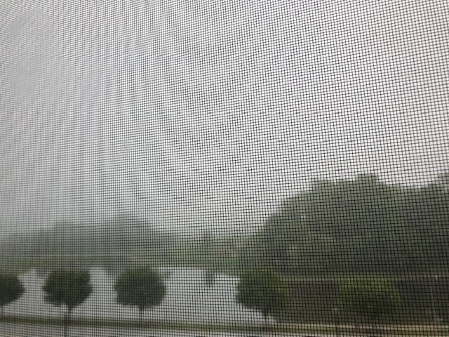 Courtyard Bowie-家庭/游戏区