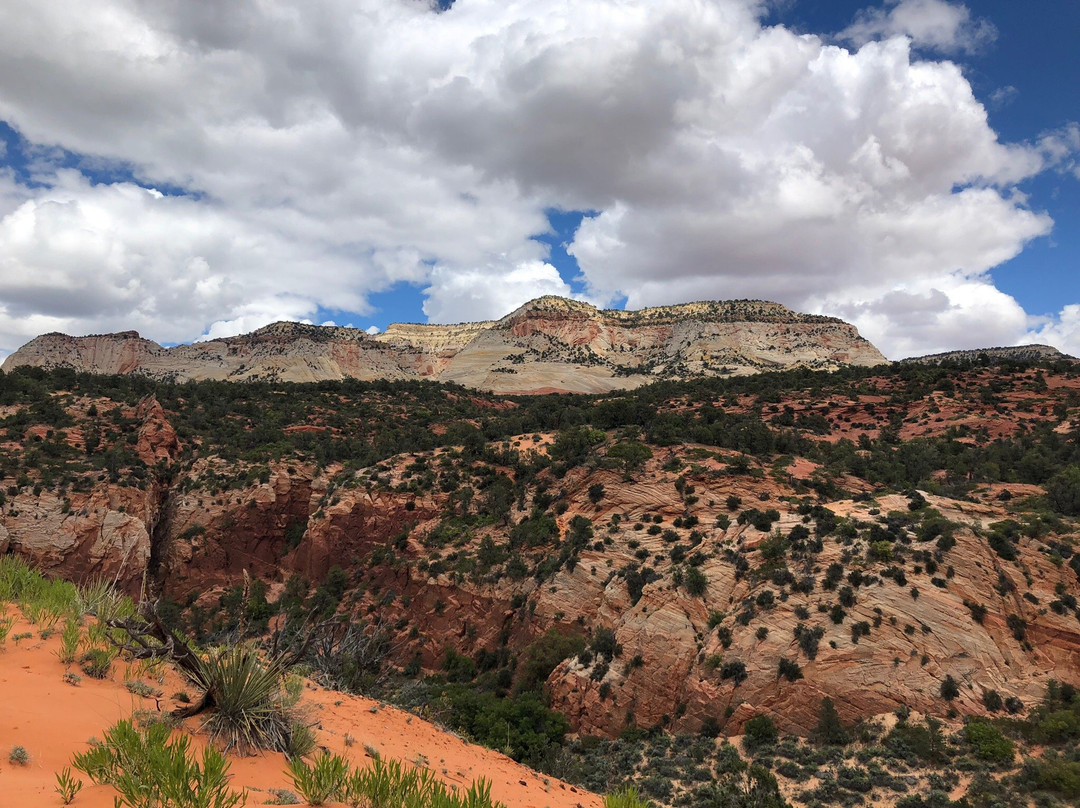 Zion East Adventures-Mount Carmel必去景点