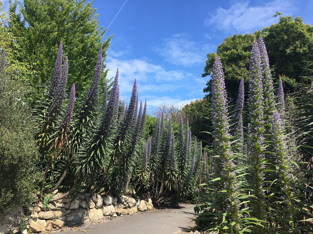 Ventnor Botanic Garden景点图片