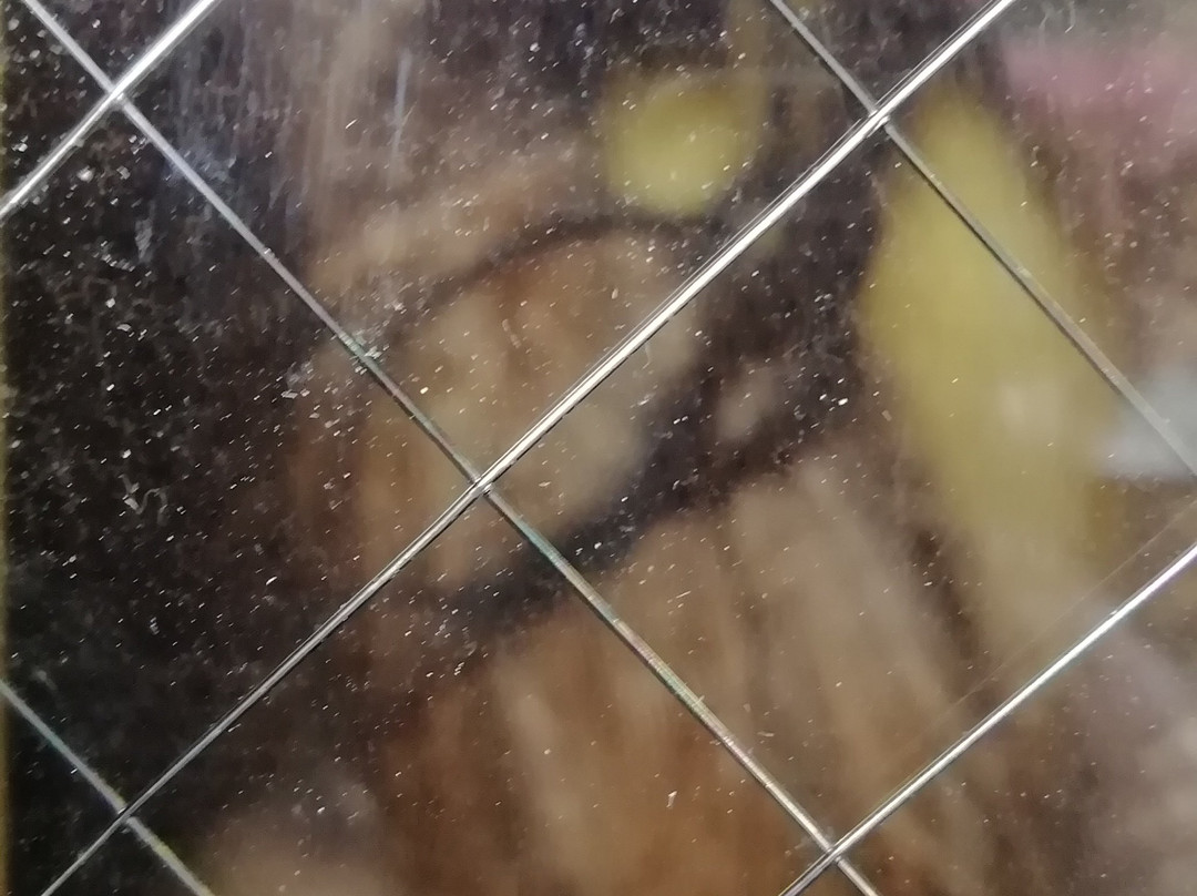 Tatsue-ji Kurogamido-小松岛市必去景点