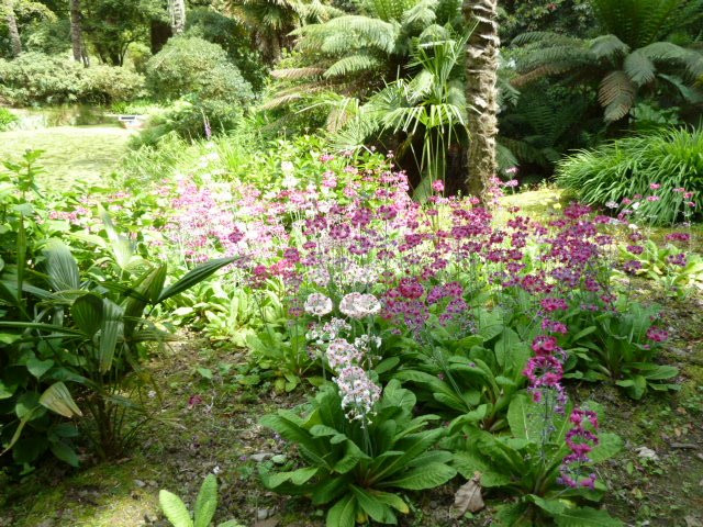 Bosahan Gardens景点图片