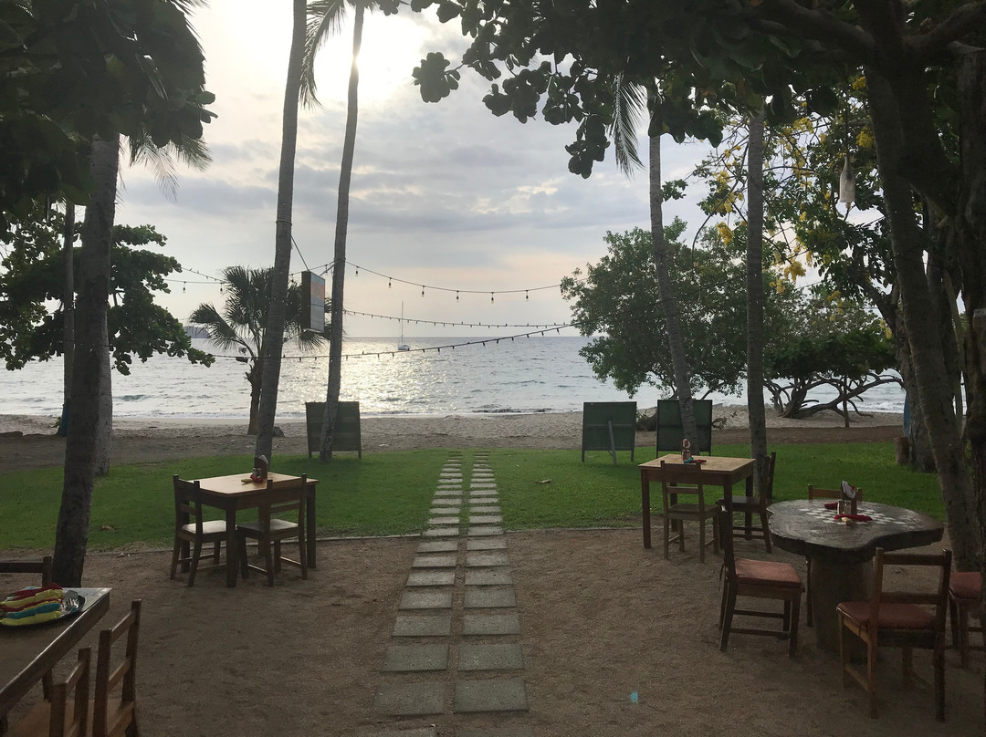 La Gaviota Tropical主图