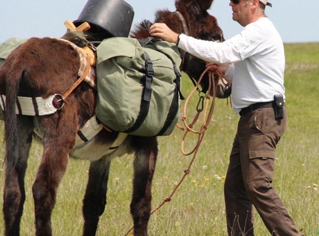Entre Seine et Brevon