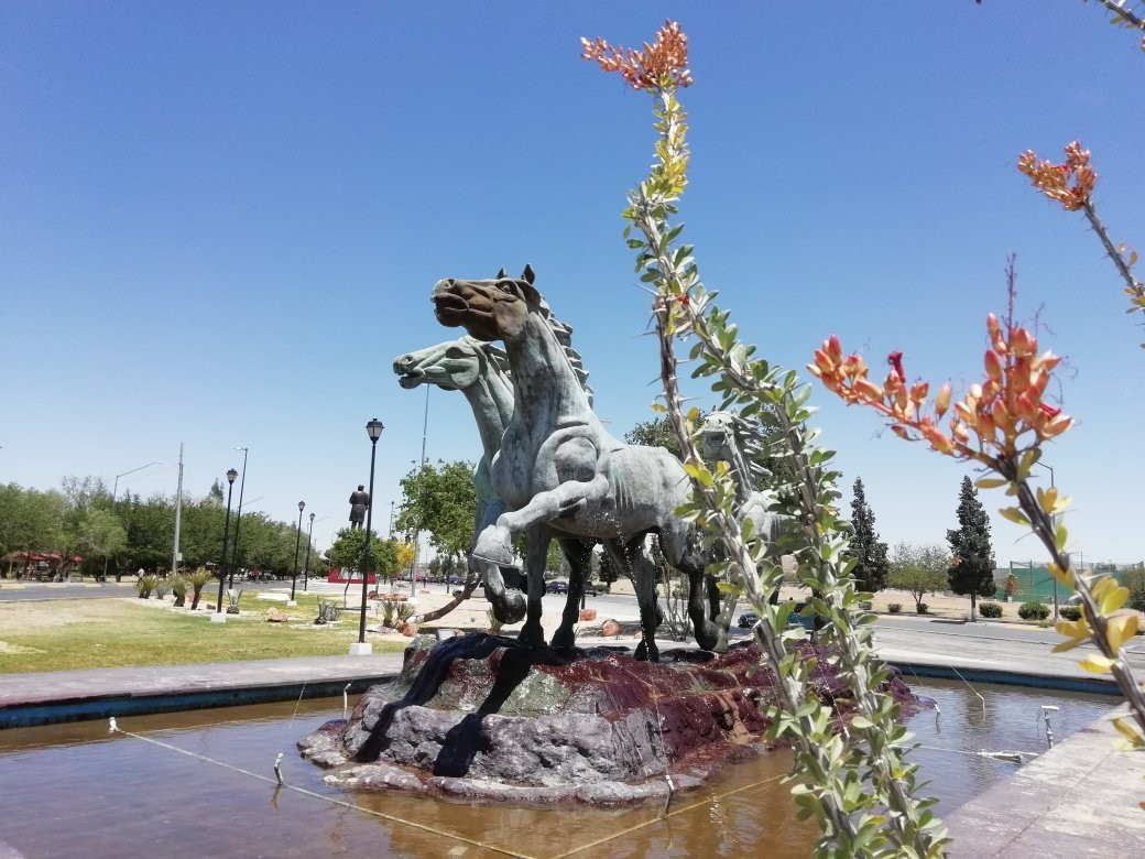 Parque Público Federal El Chamizal景点图片