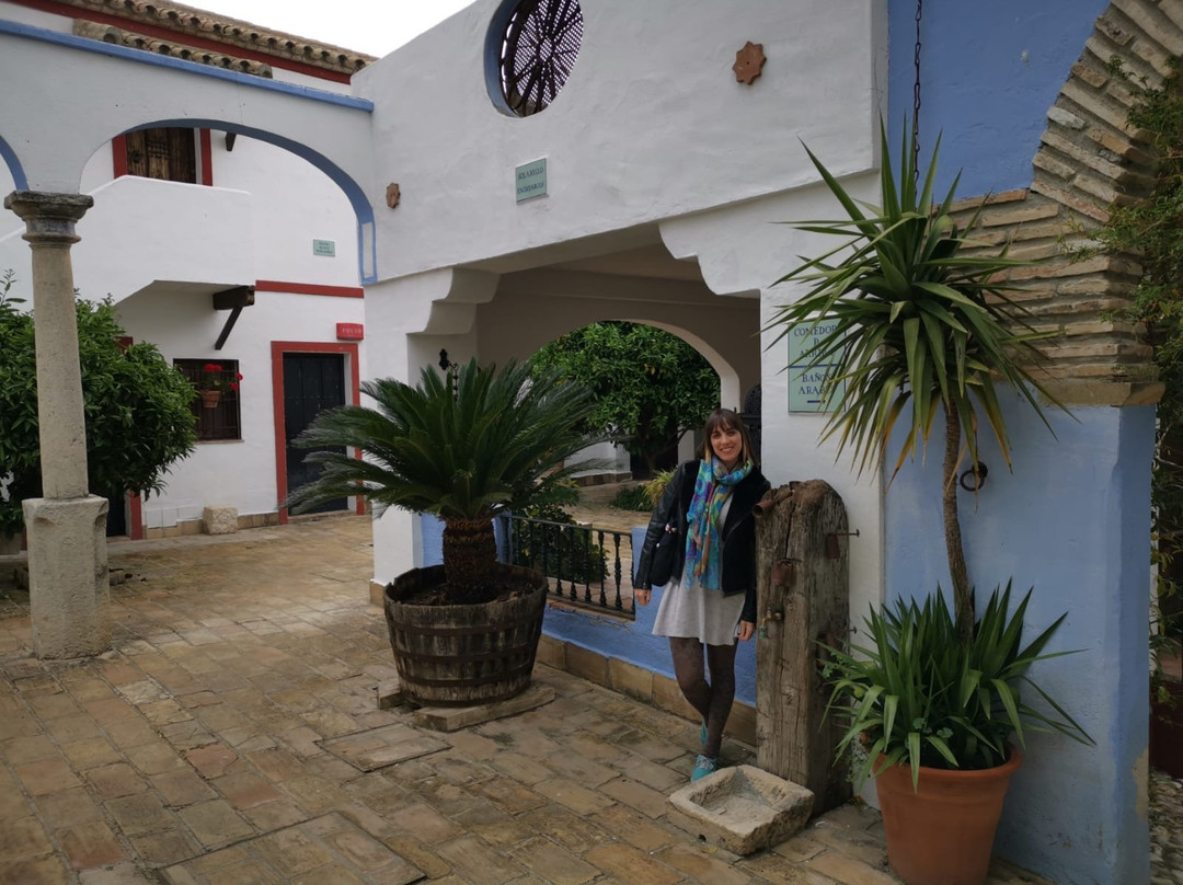 Hacienda Minerva主图