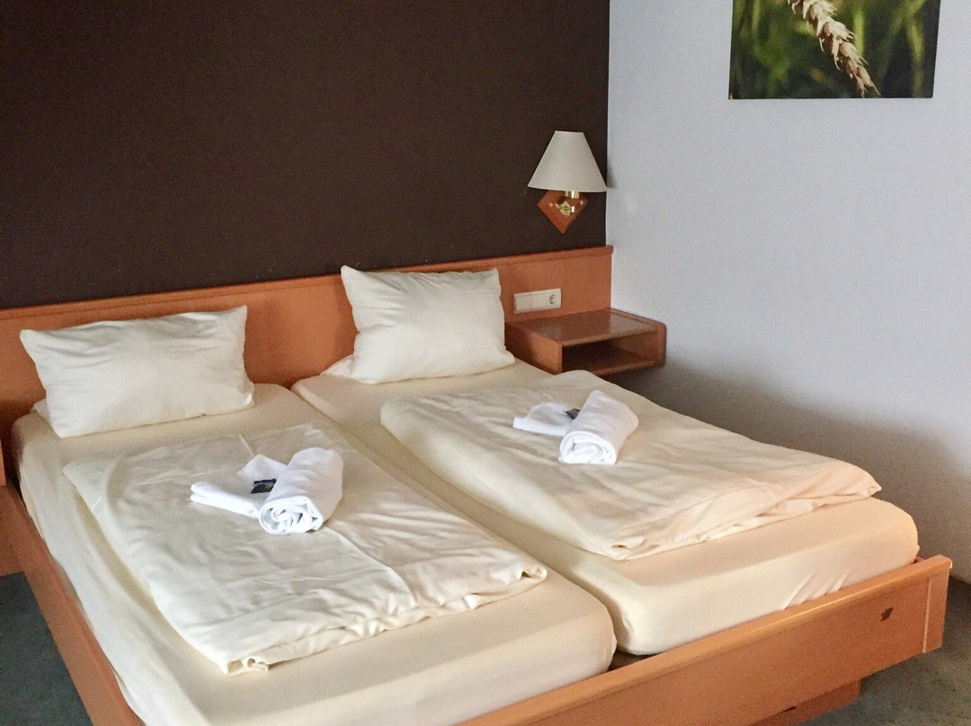 Hotel Restaurant Kruse Zum Hollotal主图