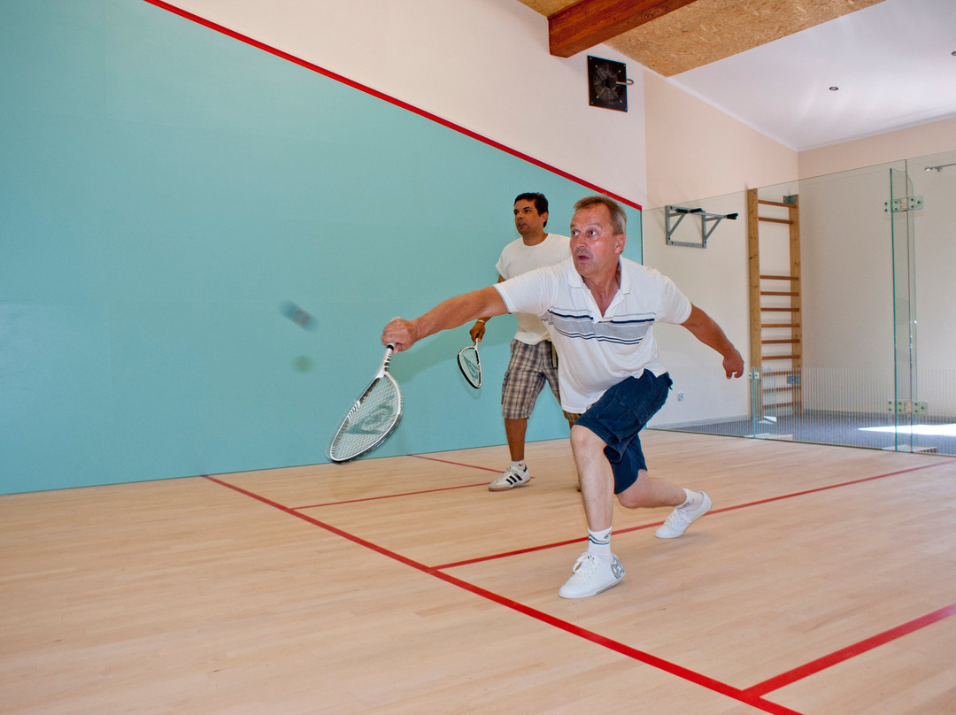 Willa Sielanka主图