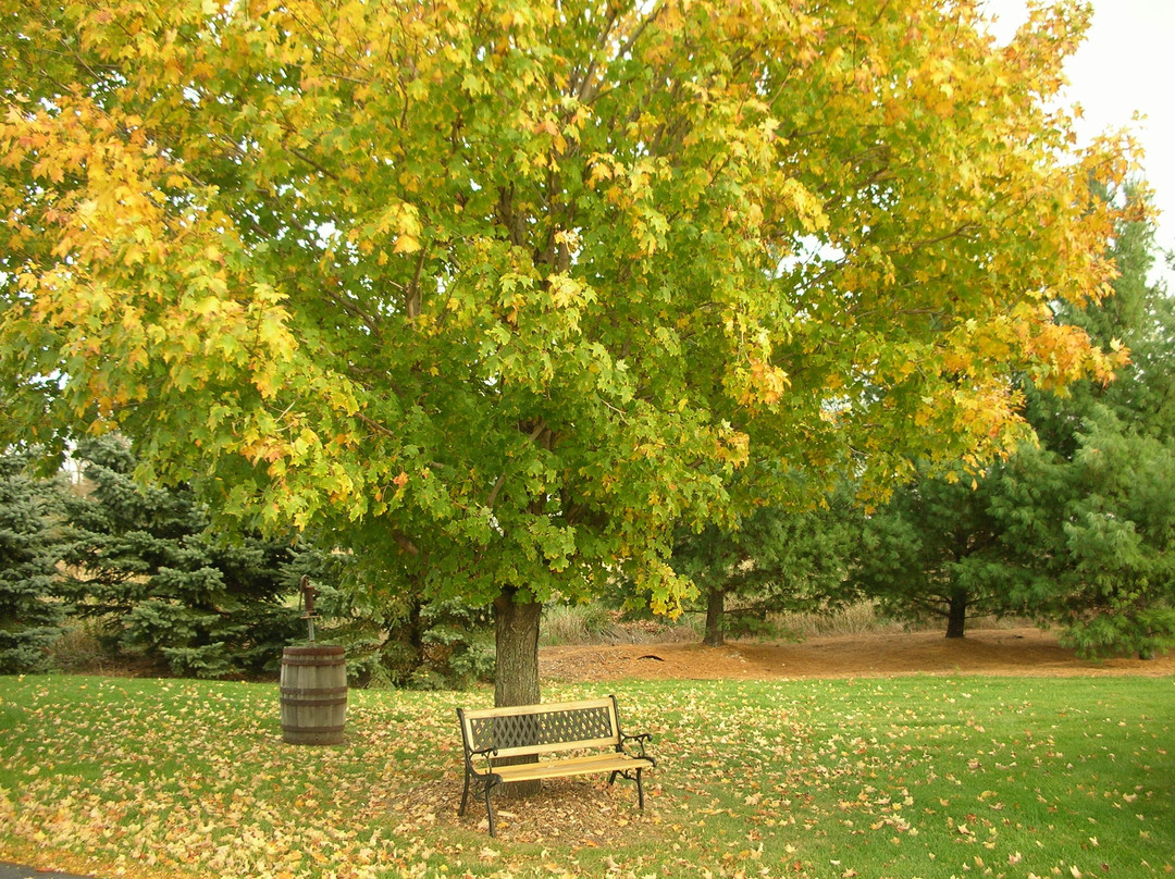 Williamston Inn Motel主图