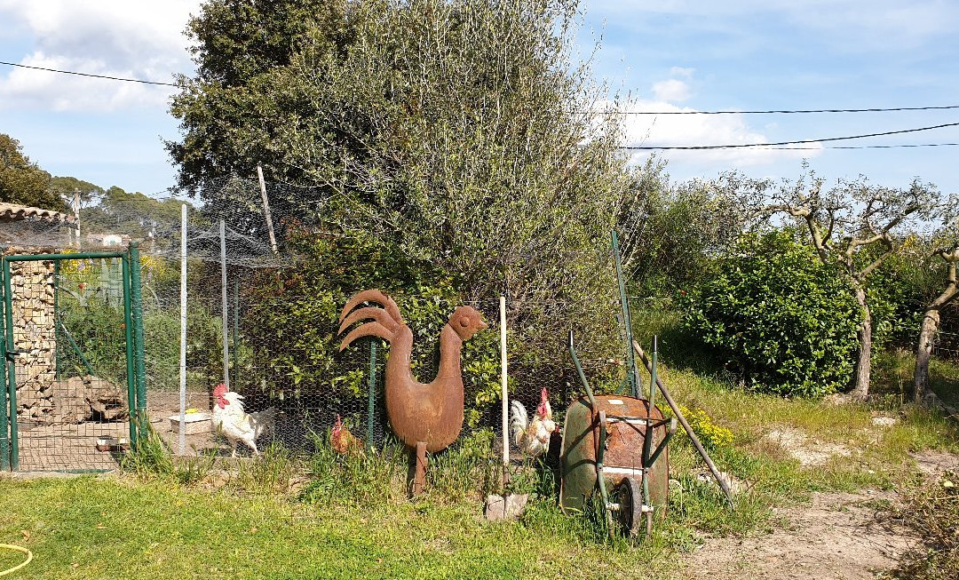 La Bastide des Anges主图