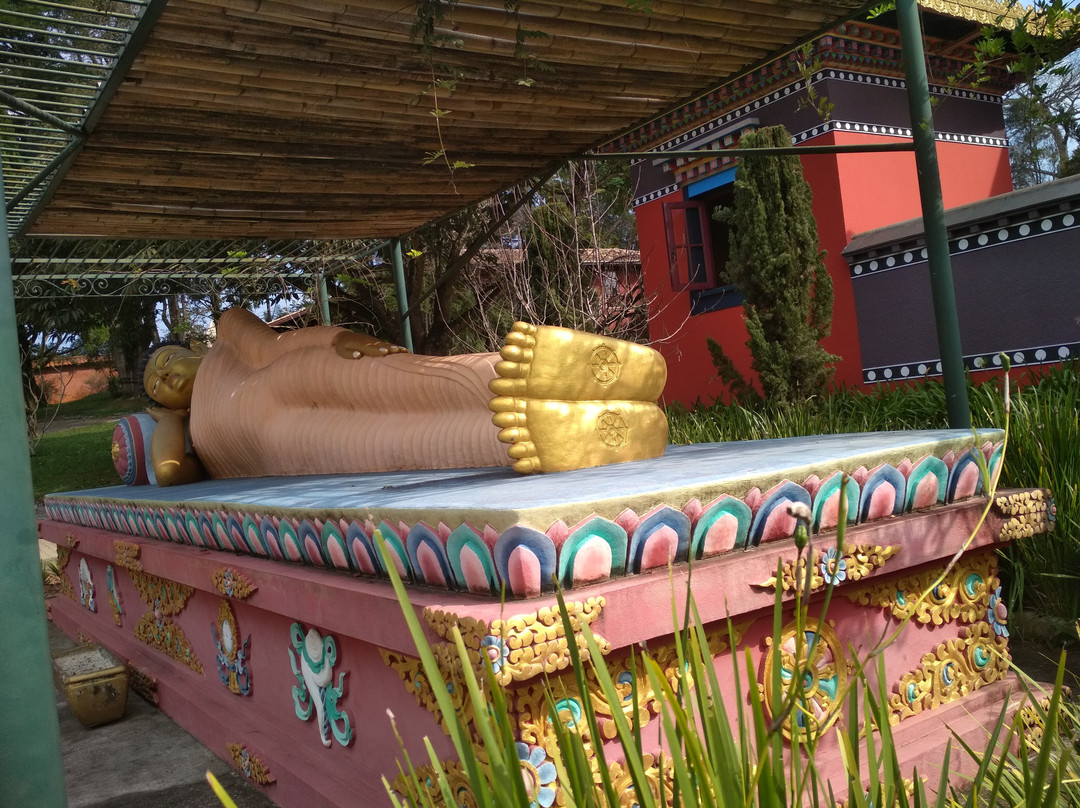 Templo Odsal Ling-Cotia必去景点