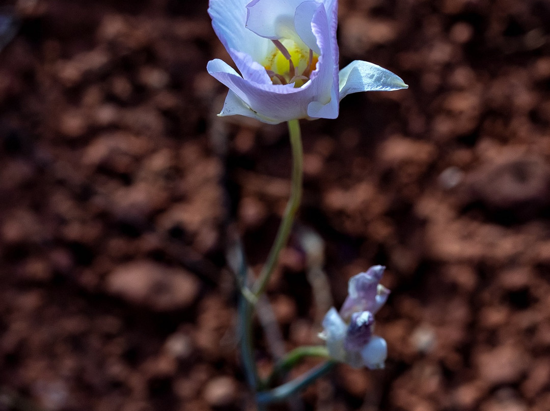 钟岩-塞多纳必去景点