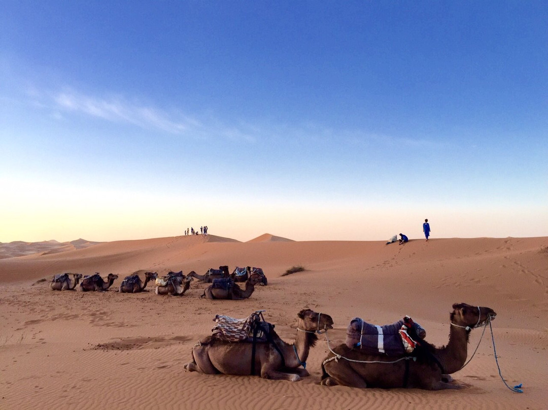 Vacaciones Por Marruecos-瓦尔扎扎特必去景点