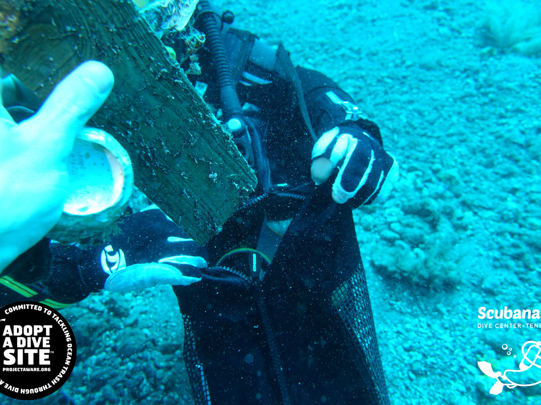 Scubanana Dive Center-圣克鲁斯-德特内里费必去景点