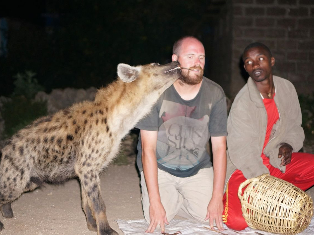 Tankwa Tours & Travel Agency-巴哈尔达尔必去景点