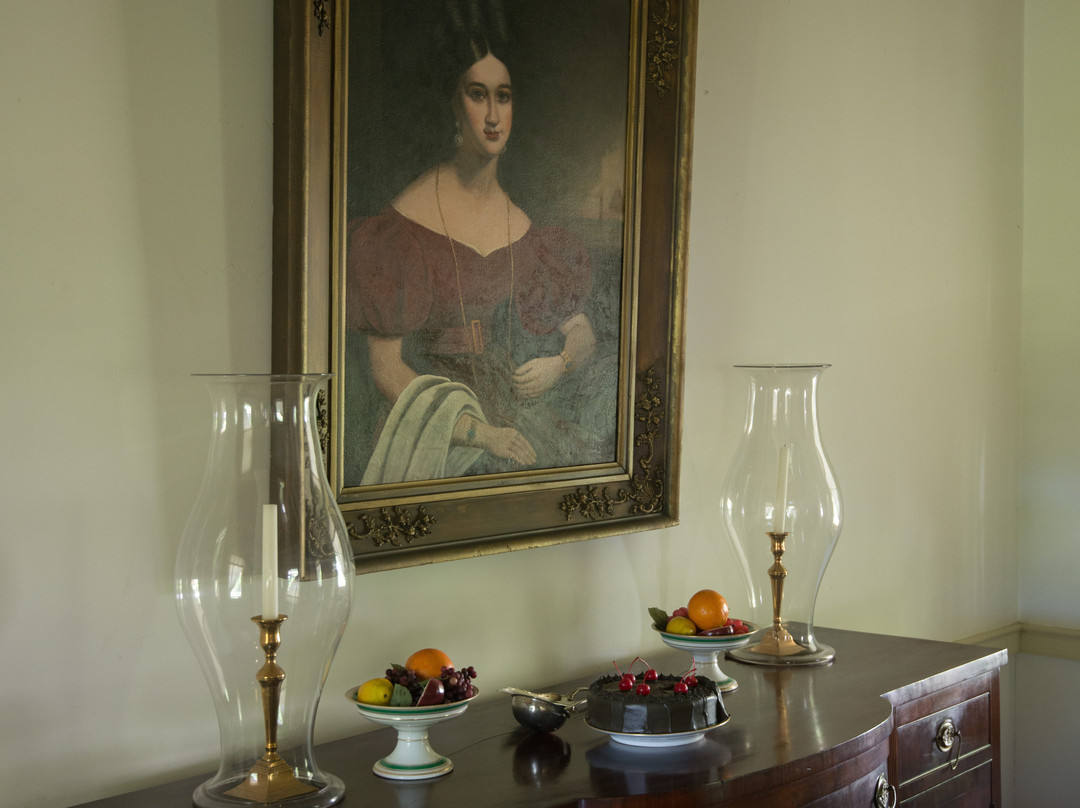 Kent Plantation House-亚历山大城必去景点