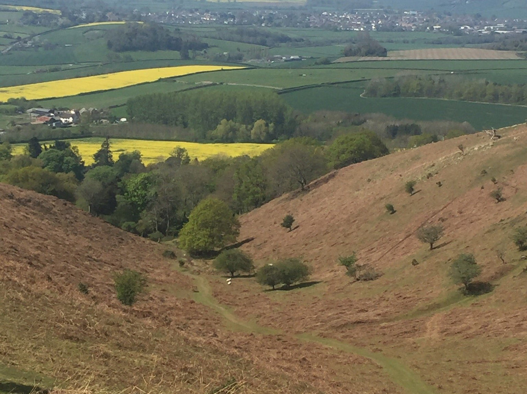 Quantock Hills Area of Outstanding Natural Beauty景点图片