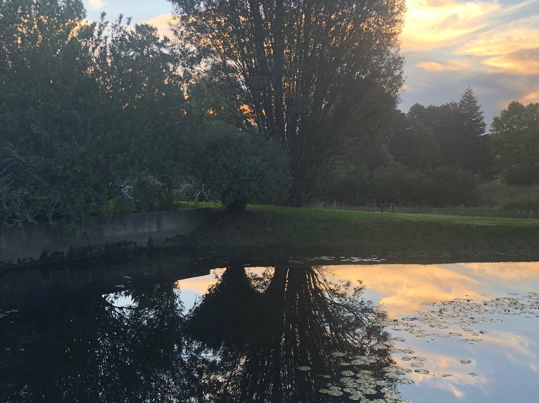 Twin Pools Lodge Bed & Breakfast主图