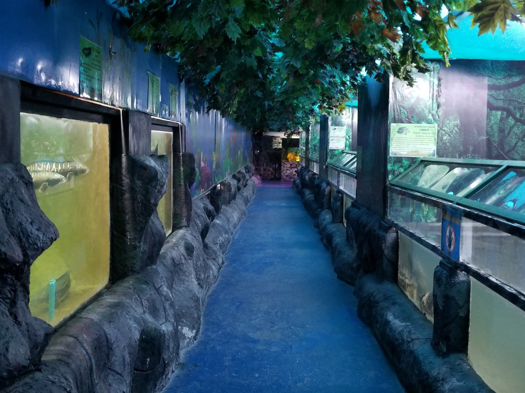 Monster Aquarium景点图片