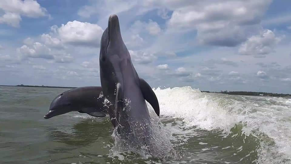 Native Tours & Fishing Charters-大沼泽地必去景点