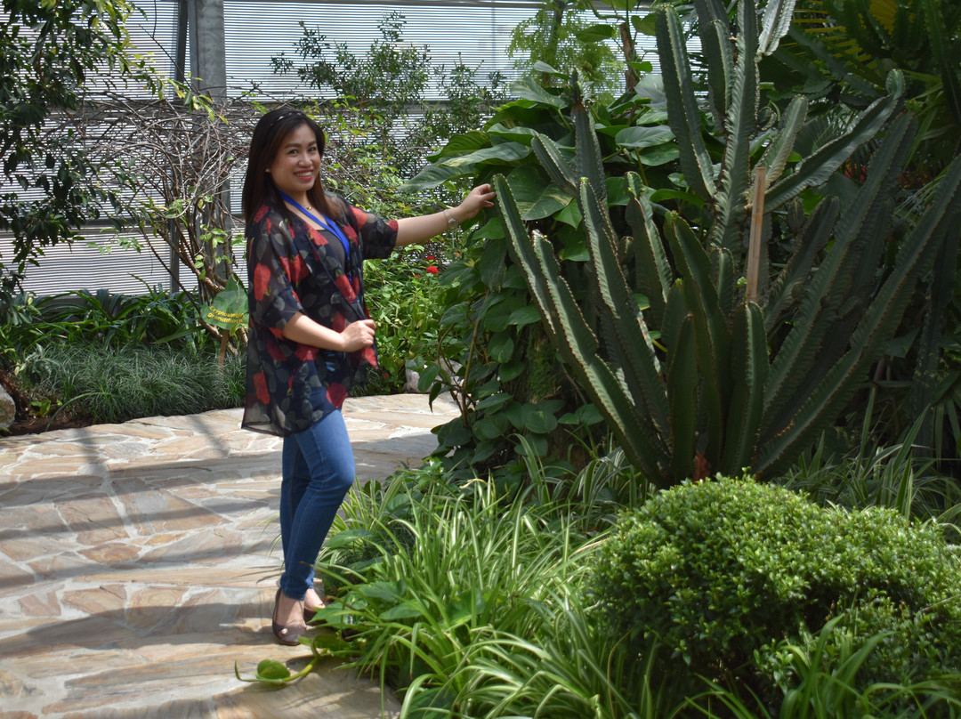 Bayan Botanical Garden-Kuwait City必去景点