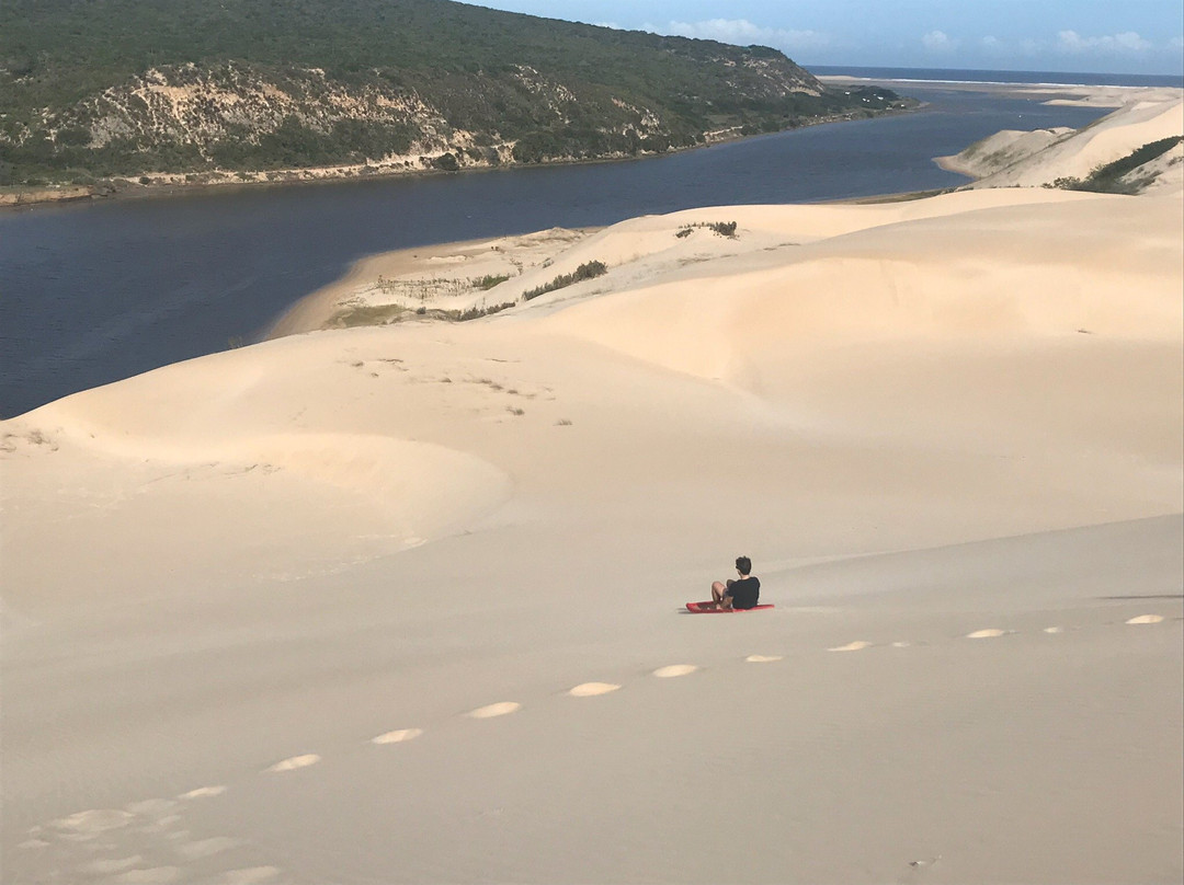 Addo Cruises & Sand Sledding景点图片