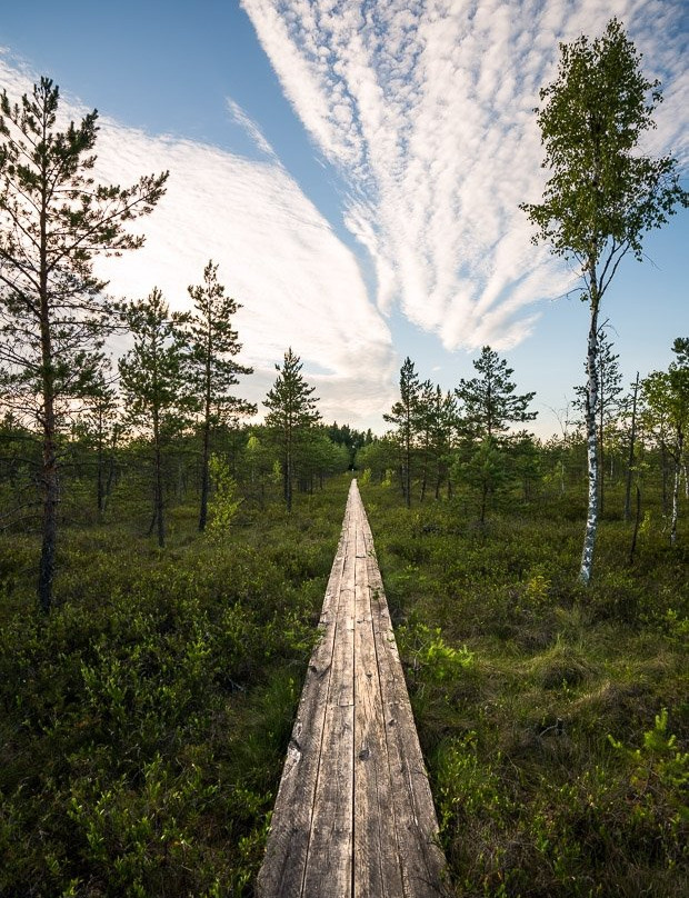 Teirumnieki Bog Trail