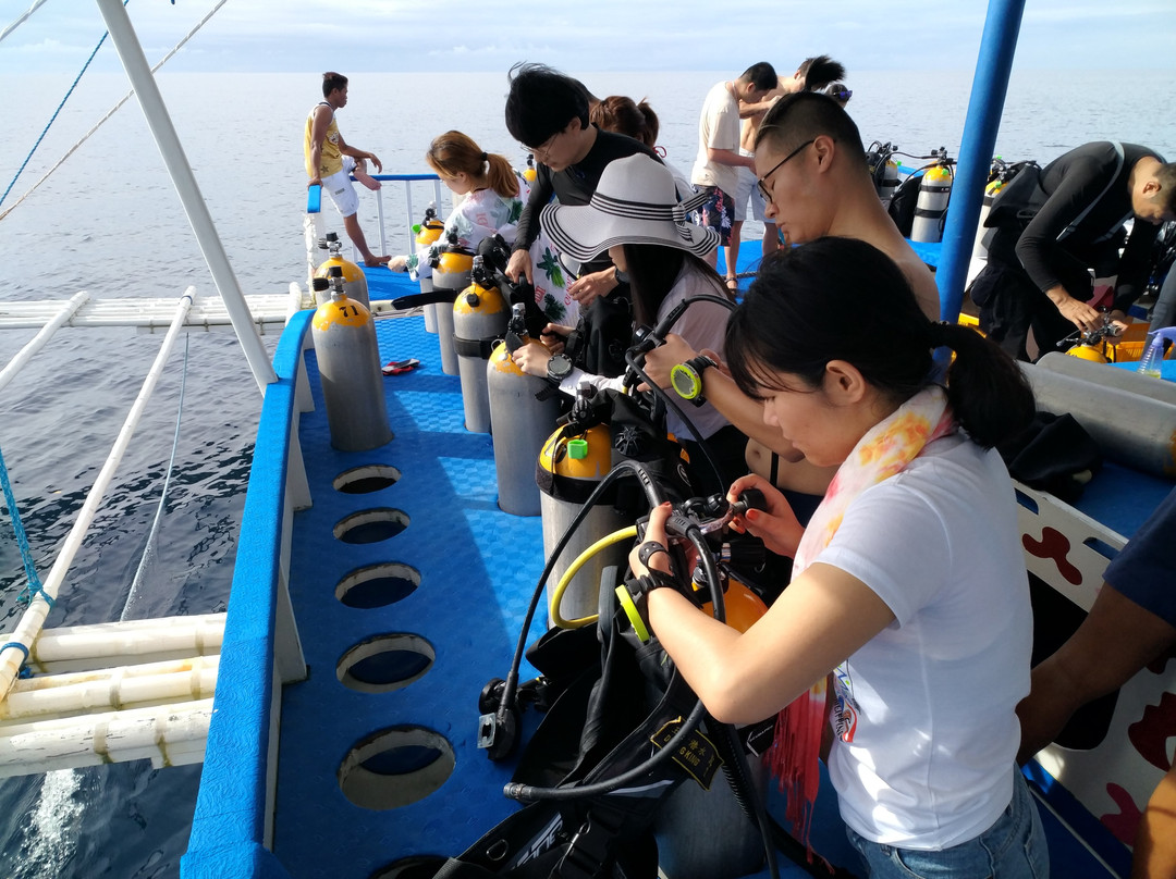 Diving King Dive Resort-Panglao必去景点