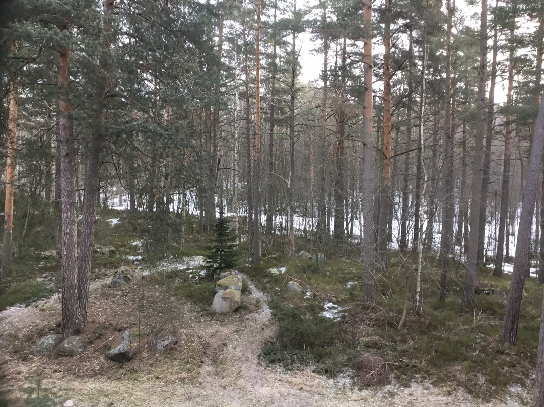 Hostel Linnasmäki主图