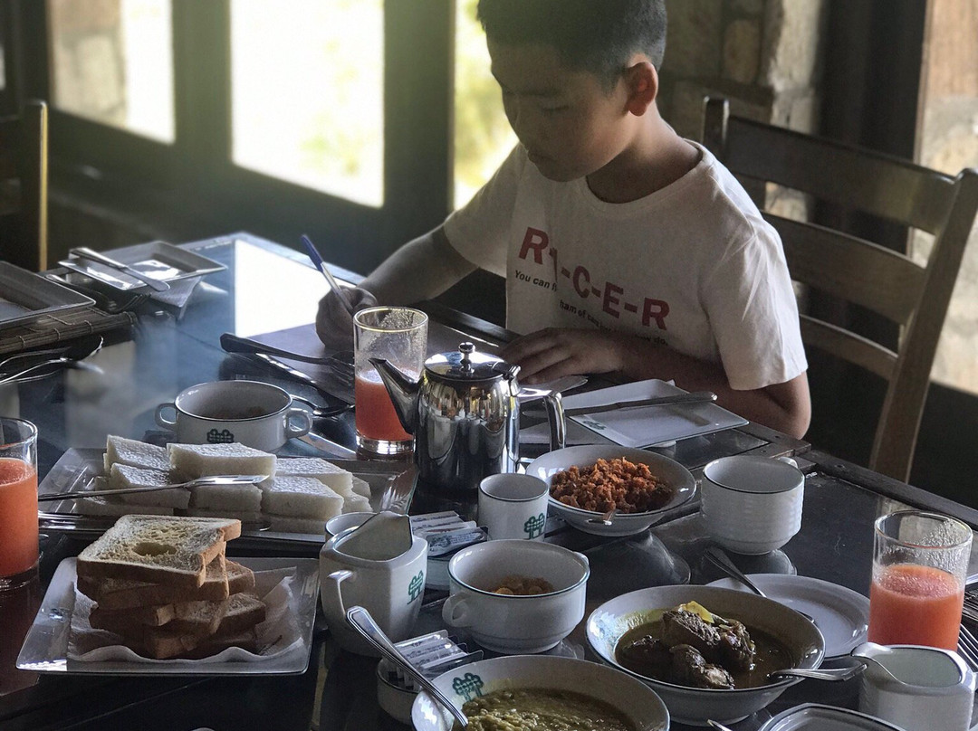 皇家山脉酒店主图