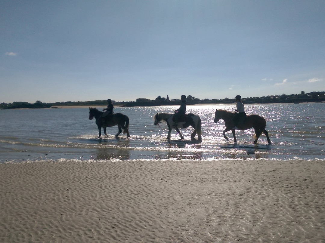 Le Ty Haras-Noyal-Chatillon-sur-Seiche必去景点