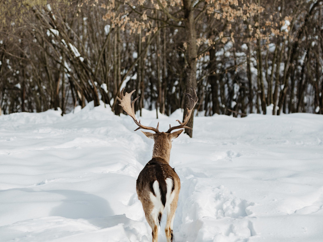 Ranch Deer Valley景点图片