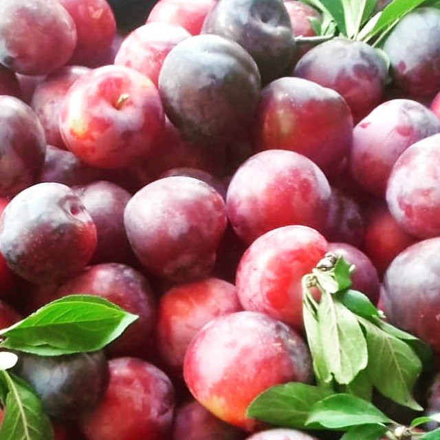 Punta Ballena Market-Punta Ballena必去景点