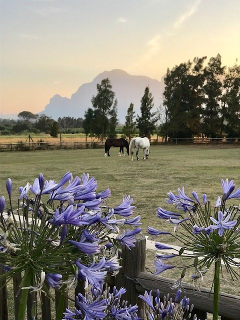 Cape Winelands Riding-Simondium必去景点