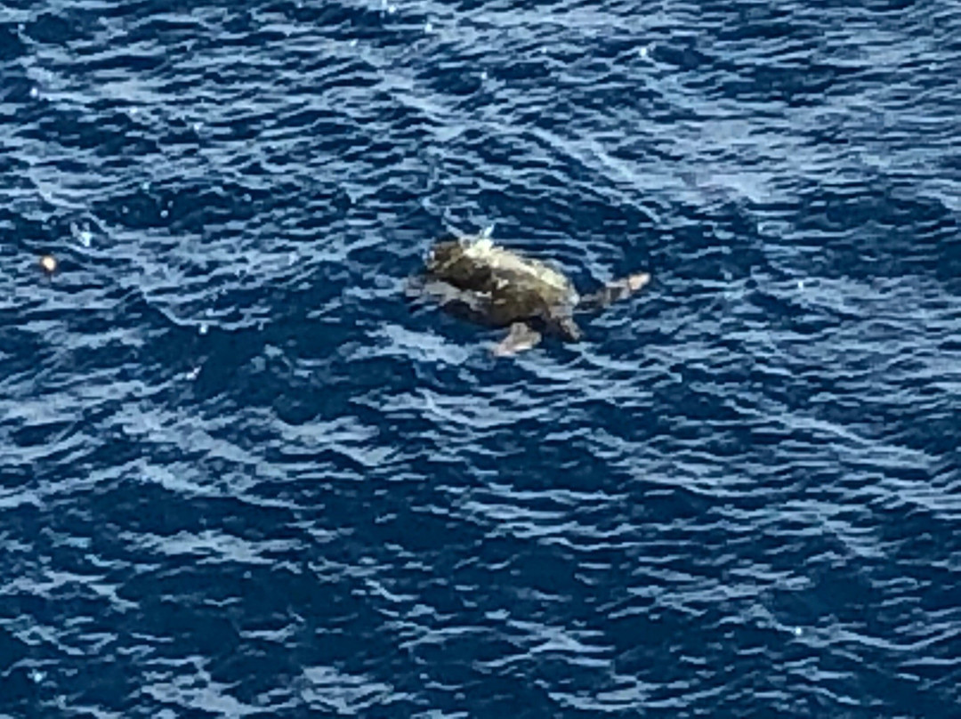 Satado Cape-三宅岛必去景点