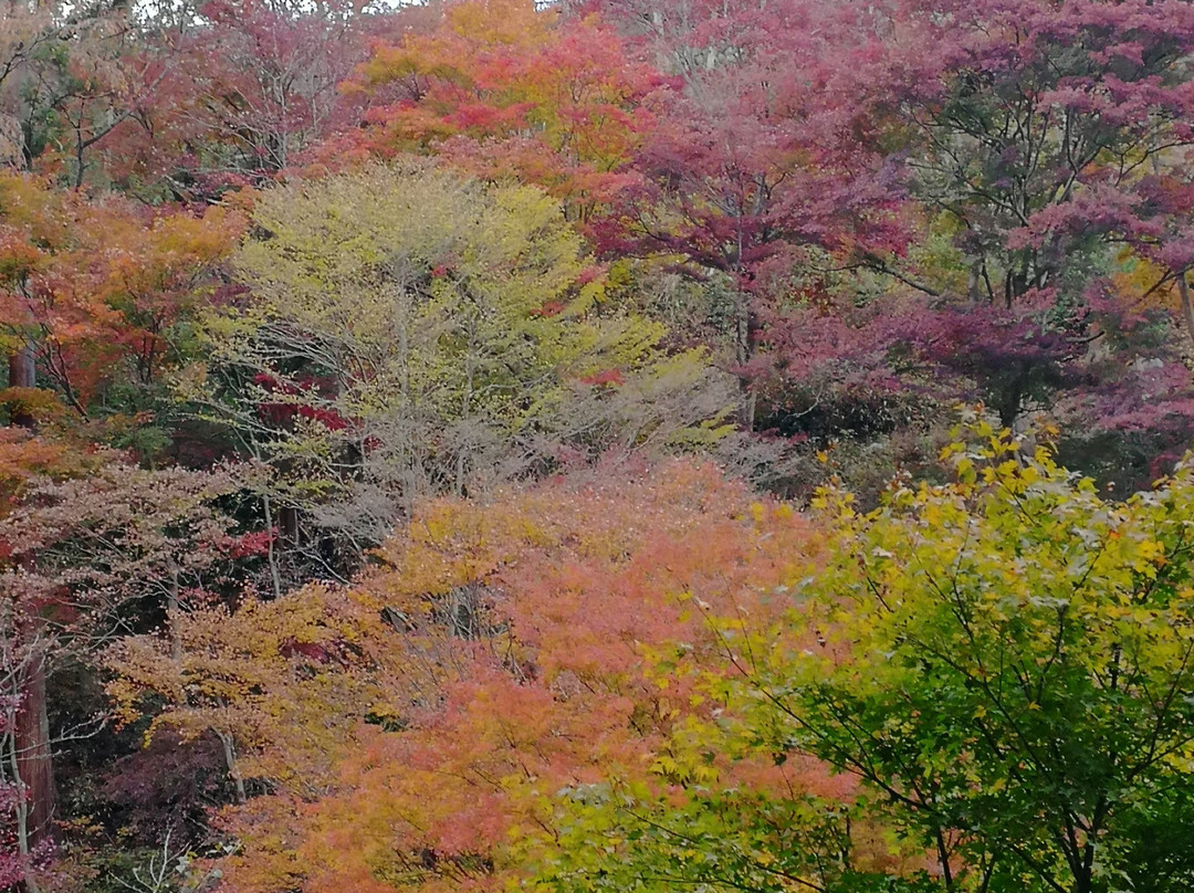 Torii Kannon-饭能市必去景点
