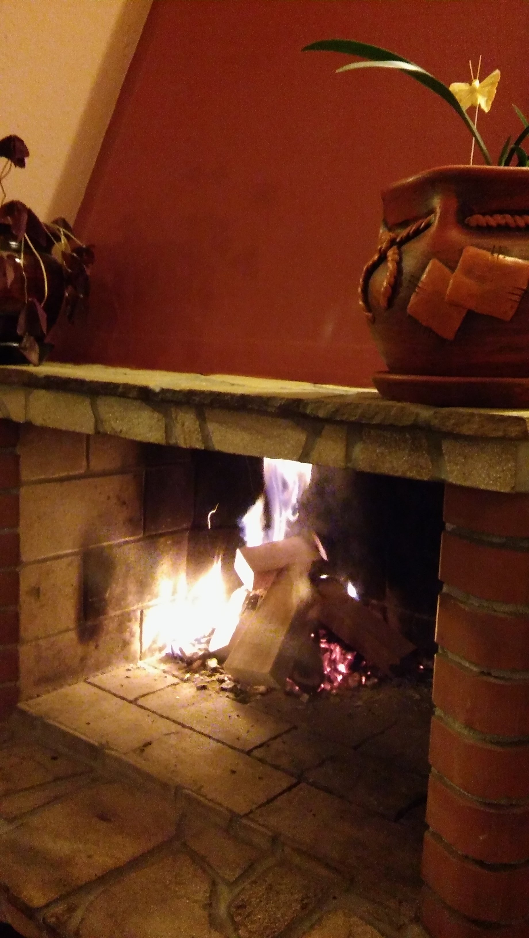 Family Hotel Savov-餐饮