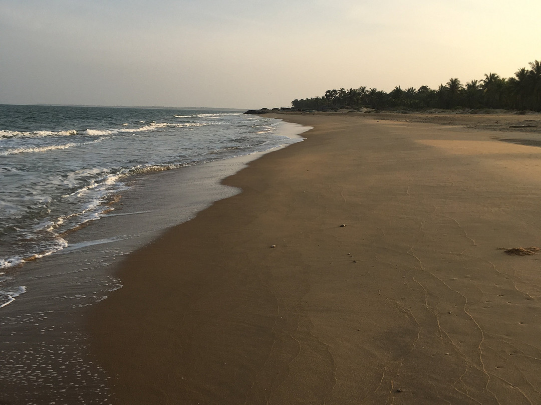 Wellé Wadiya Beach Hotel and Restaurant主图