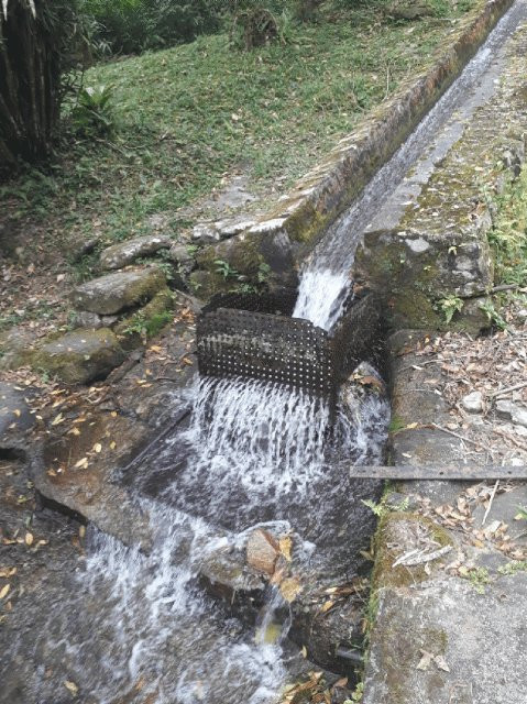 Parque Natural Municipal Nascentes de Paranapiacaba景点图片