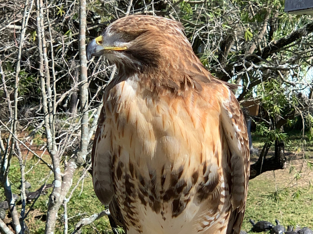 McGough Nature Park景点图片